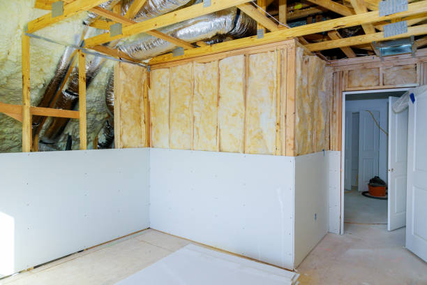 Best Eco-Friendly Insulation Solutions  in Schertz, TX